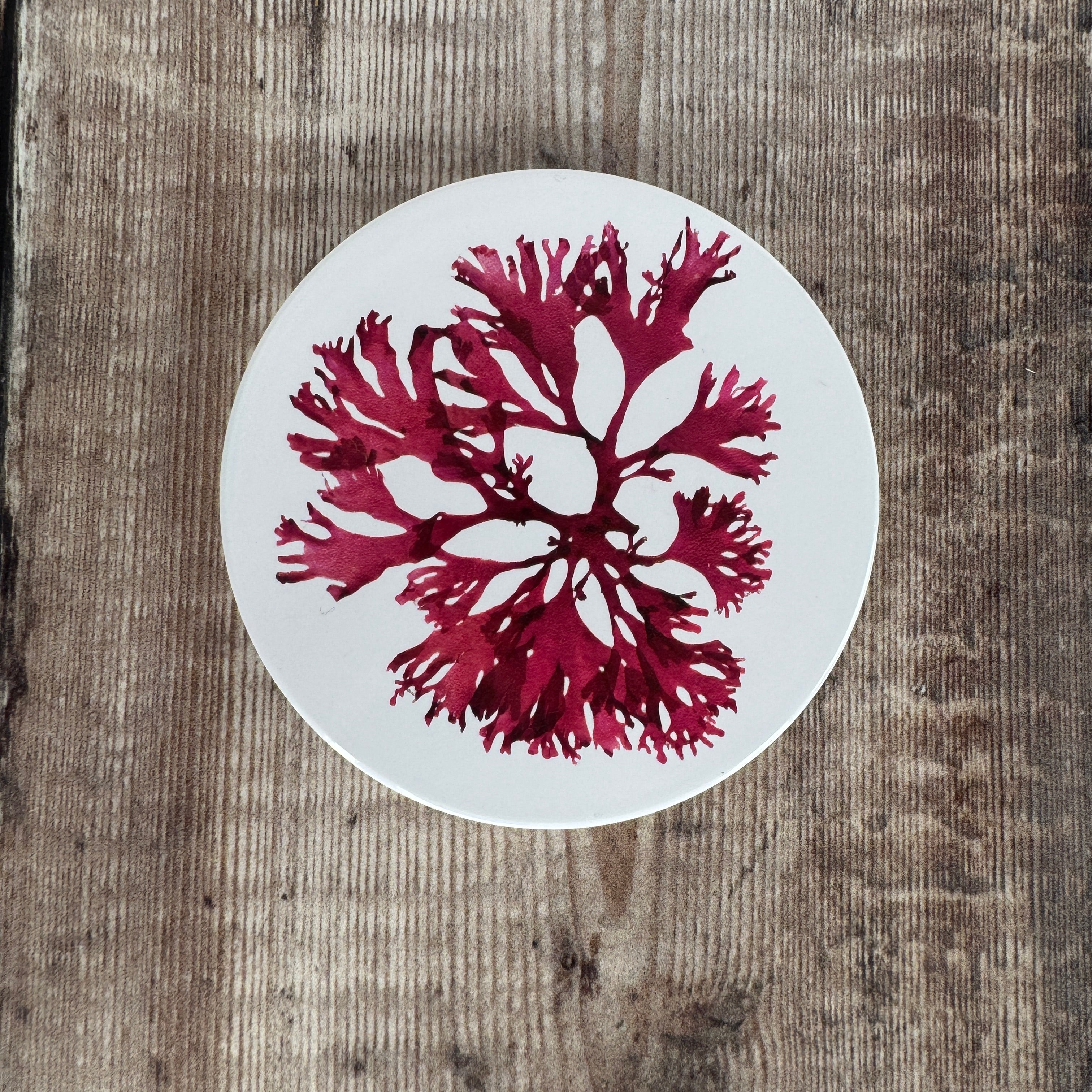 Ceramic Coaster